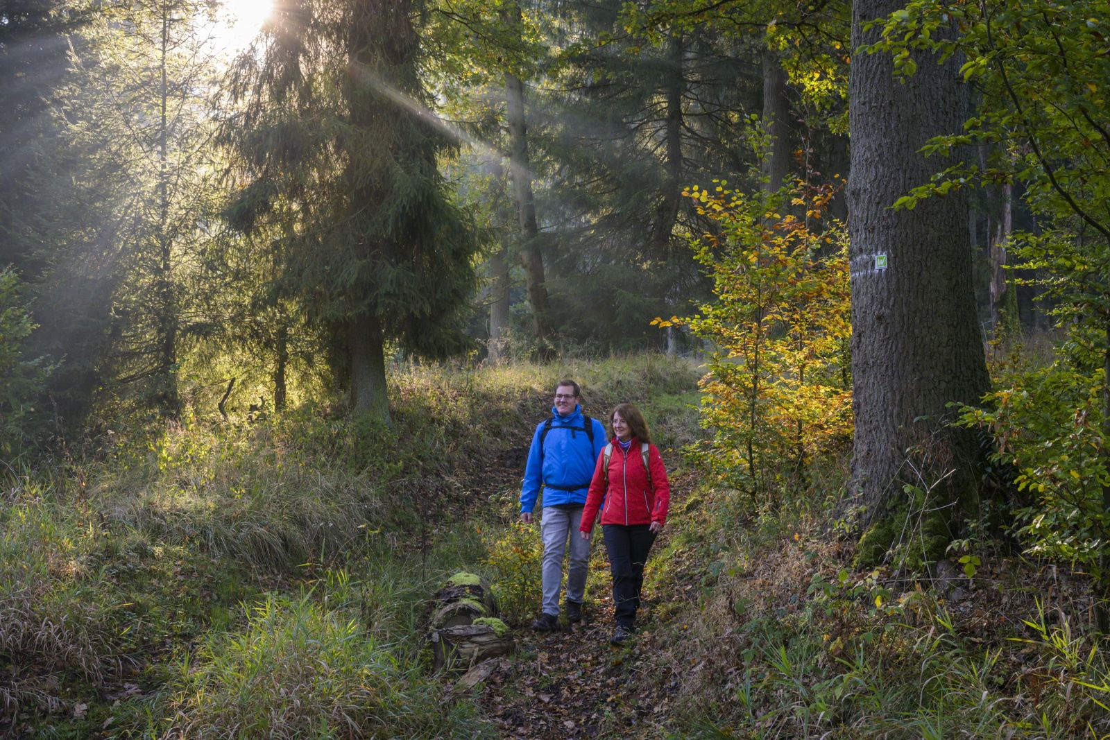 Wanderndes Paar im Arnsberger Wald