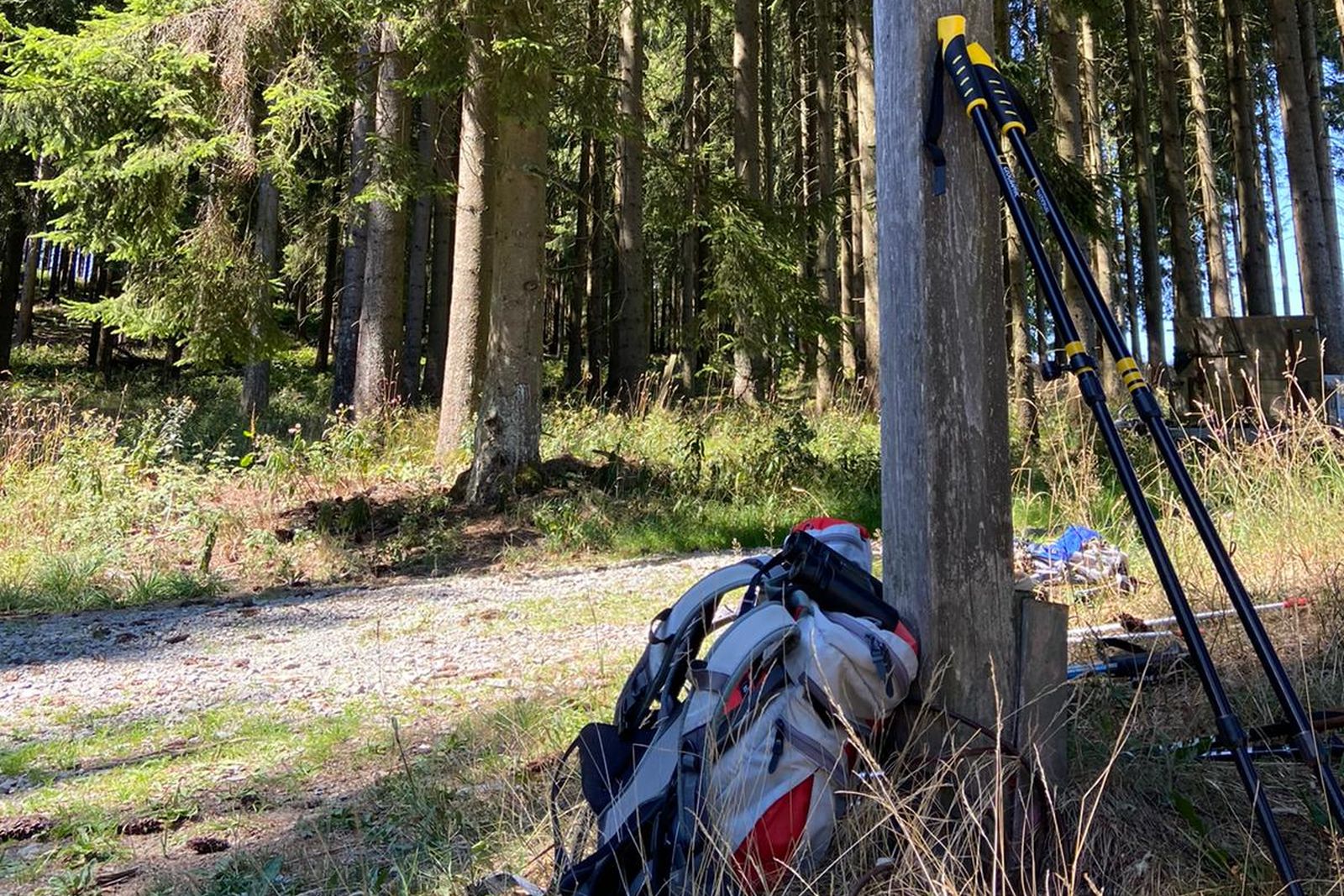 Backpack and hiking poles laid down for a break in the forest
