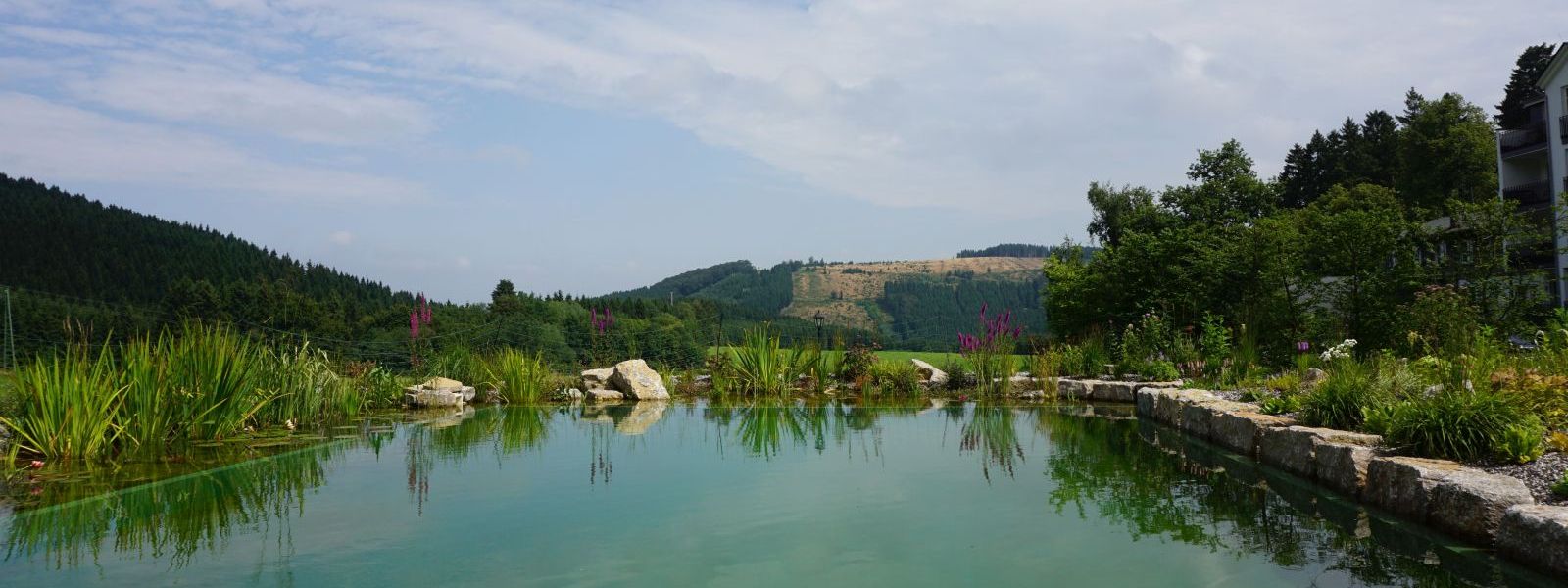 Blick über den Hotelteich in die Ferne