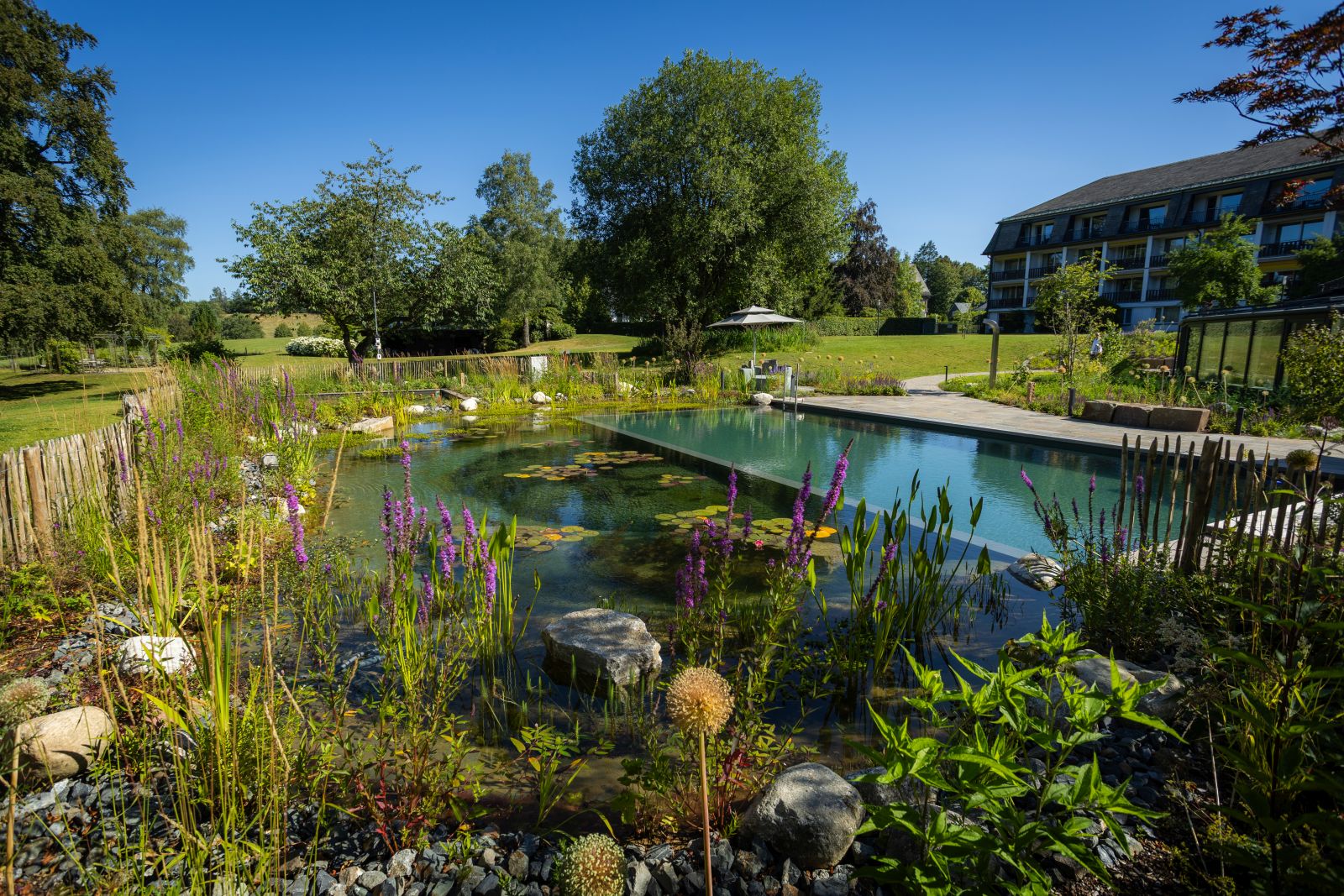 Jagdhaus Wiese Schwimmteich im Sommer