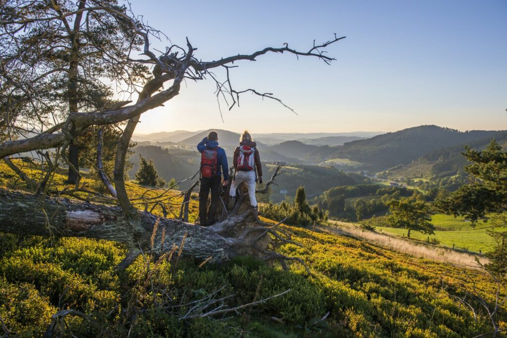 Wanderer-Paar genießt Aussicht über die Hügellandschaft