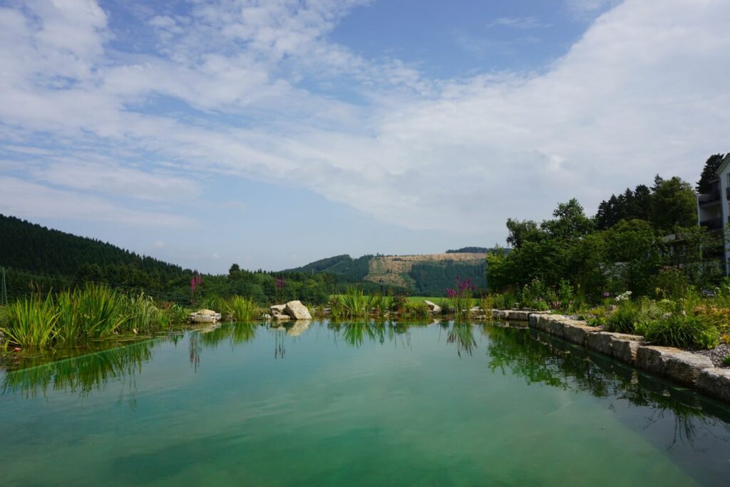 Sommerlicher Blick über den Hotelteich in die Ferne; das Wasser schimmert grünlich