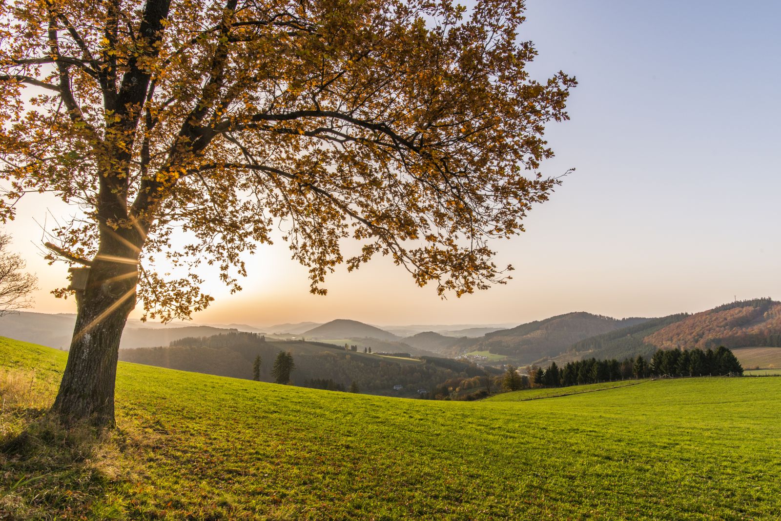 Herstliche Aussichten in Oberhenneborn