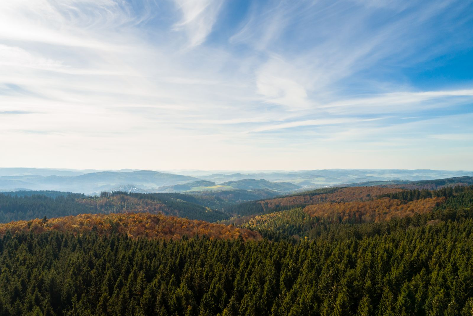 Blick über den Arnsberger Wald