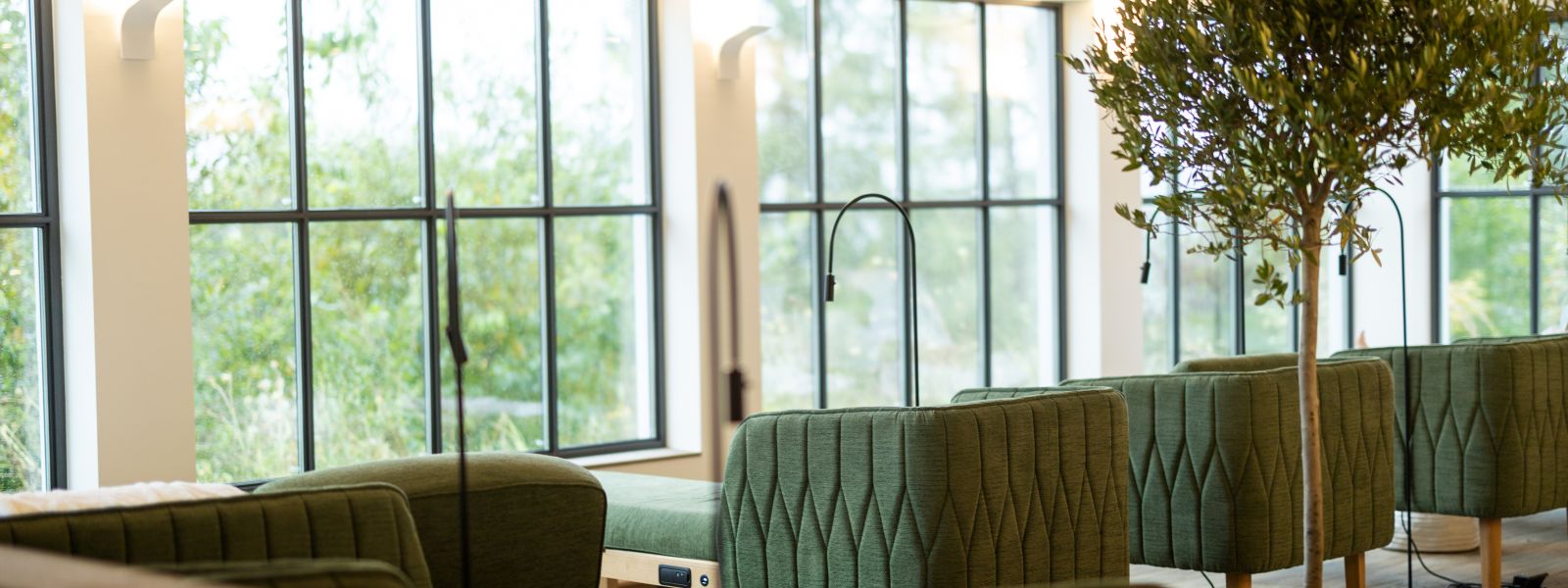 View of the relaxation room with green-covered loungers