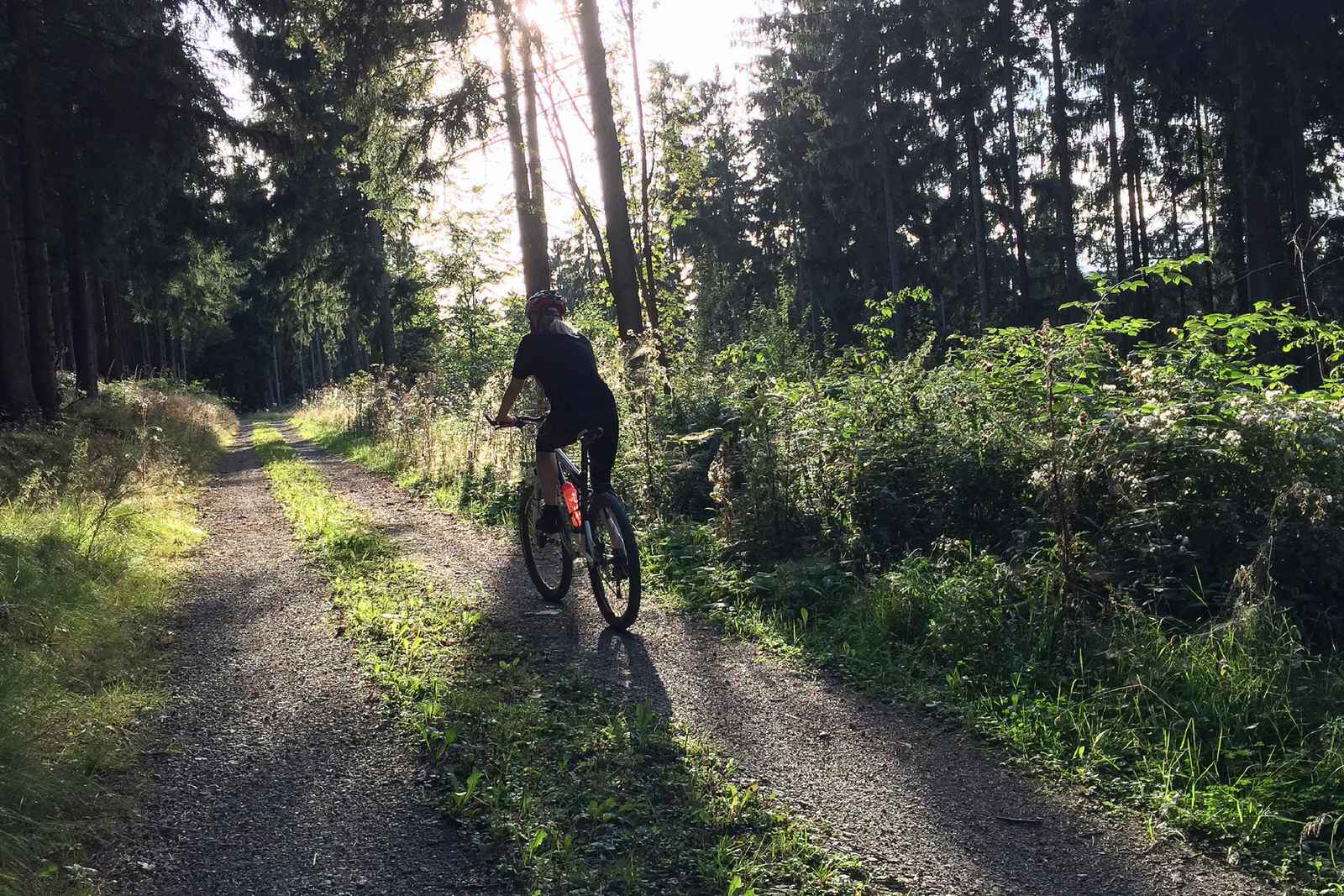 sauerland bike tours