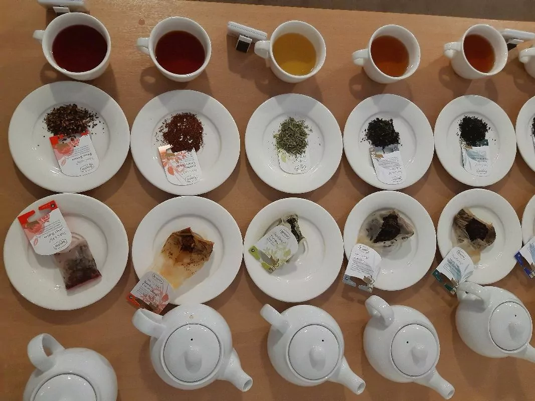 Die Sterne im Sauerland – Teeseminar mit Ronnefeldt