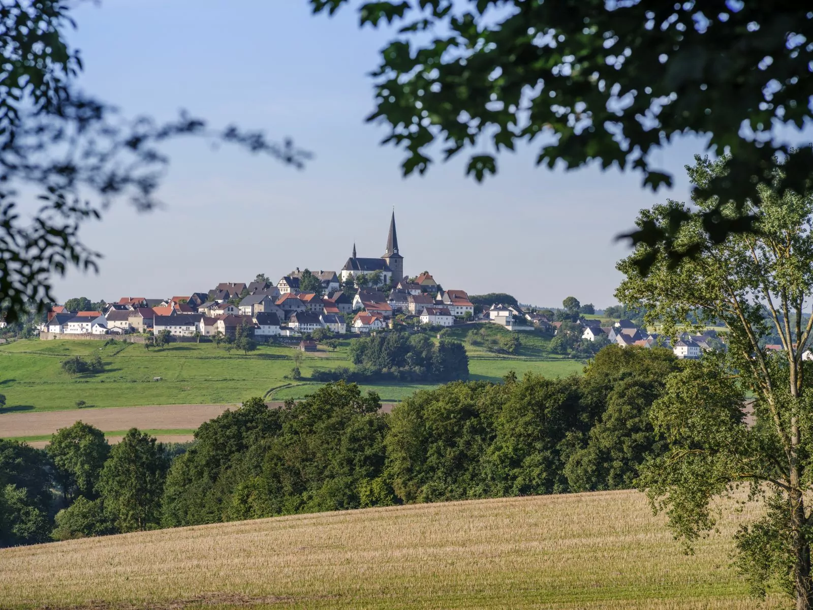 Blick auf den Dorfhügel von Kallenhardt mit Kirche