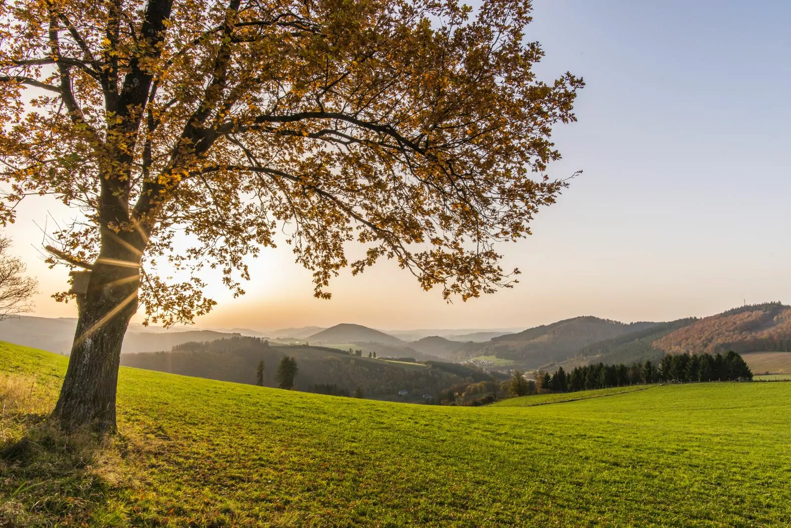 Herstliche Aussichten in Oberhenneborn