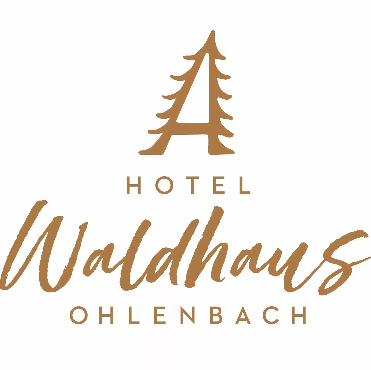 WO_Logo_ohne_SterneStaunenStille (002)