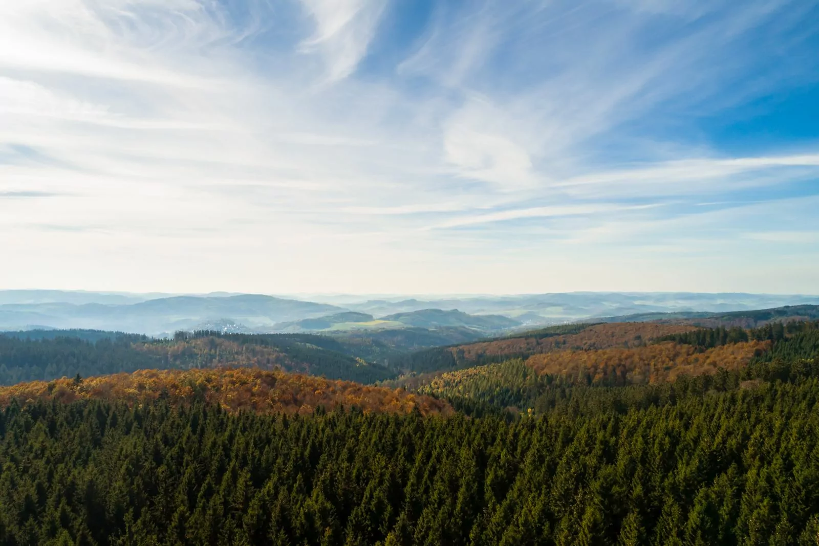 Blick über den Arnsberger Wald